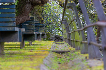 Garden benches