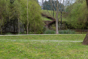 Obraz premium Landscape of an urban park with flowering flowers.