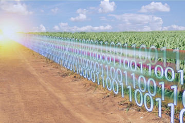 iot smart industry 4.0 digital transformation with artificial intelligence or ai in agriculture...