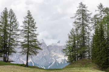 Dolomites Italy, nature and landscape
