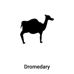 Dromedary icon vector isolated on white background, logo concept of Dromedary sign on transparent background, black filled symbol