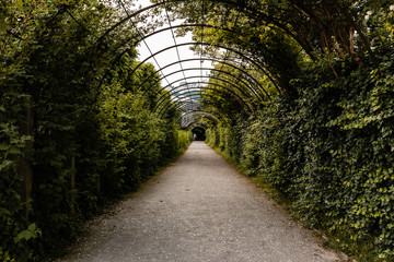 alley in salzburg park