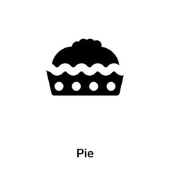 Pie icon vector isolated on white background, logo concept of Pie sign on transparent background, black filled symbol