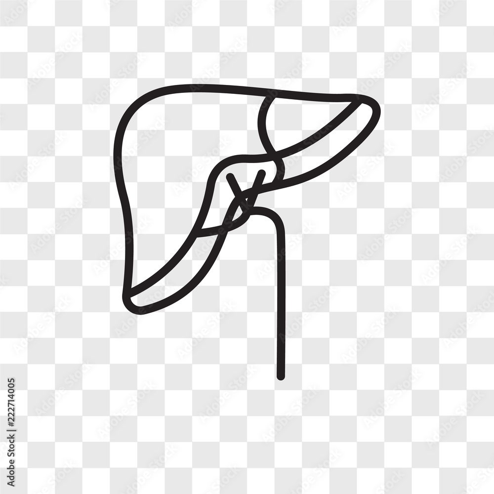 Poster liver icons isolated on transparent background. modern and editable liver icon. simple icon vector i