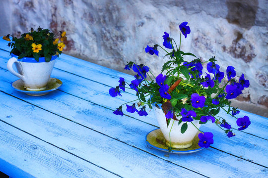 DOS MACETEROS EN MESA 