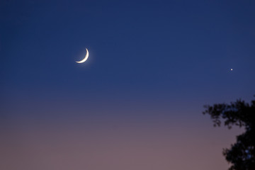 View of the new moon
