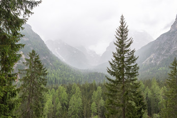 Dolomites Italy, nature and landscape