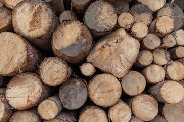 Dolomites Italy, nature and landscape