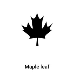 Maple leaf icon vector isolated on white background, logo concept of Maple leaf sign on transparent background, black filled symbol