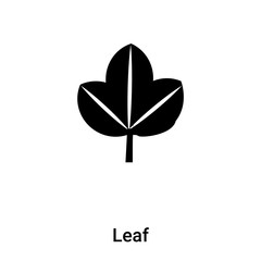 Leaf icon vector isolated on white background, logo concept of Leaf sign on transparent background, black filled symbol