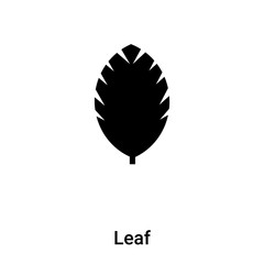 Leaf icon vector isolated on white background, logo concept of Leaf sign on transparent background, black filled symbol