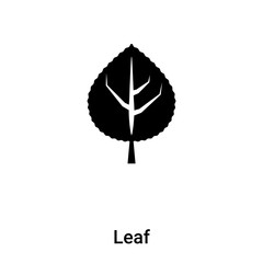 Leaf icon vector isolated on white background, logo concept of Leaf sign on transparent background, black filled symbol