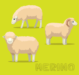 Sheep Merino Cartoon Vector Illustration