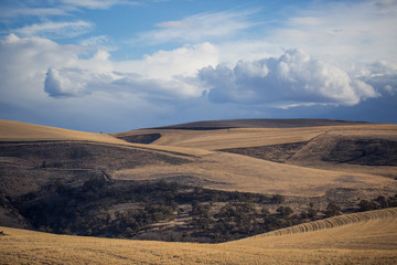 Fototapeta premium Rolling Hills & Clouds 1