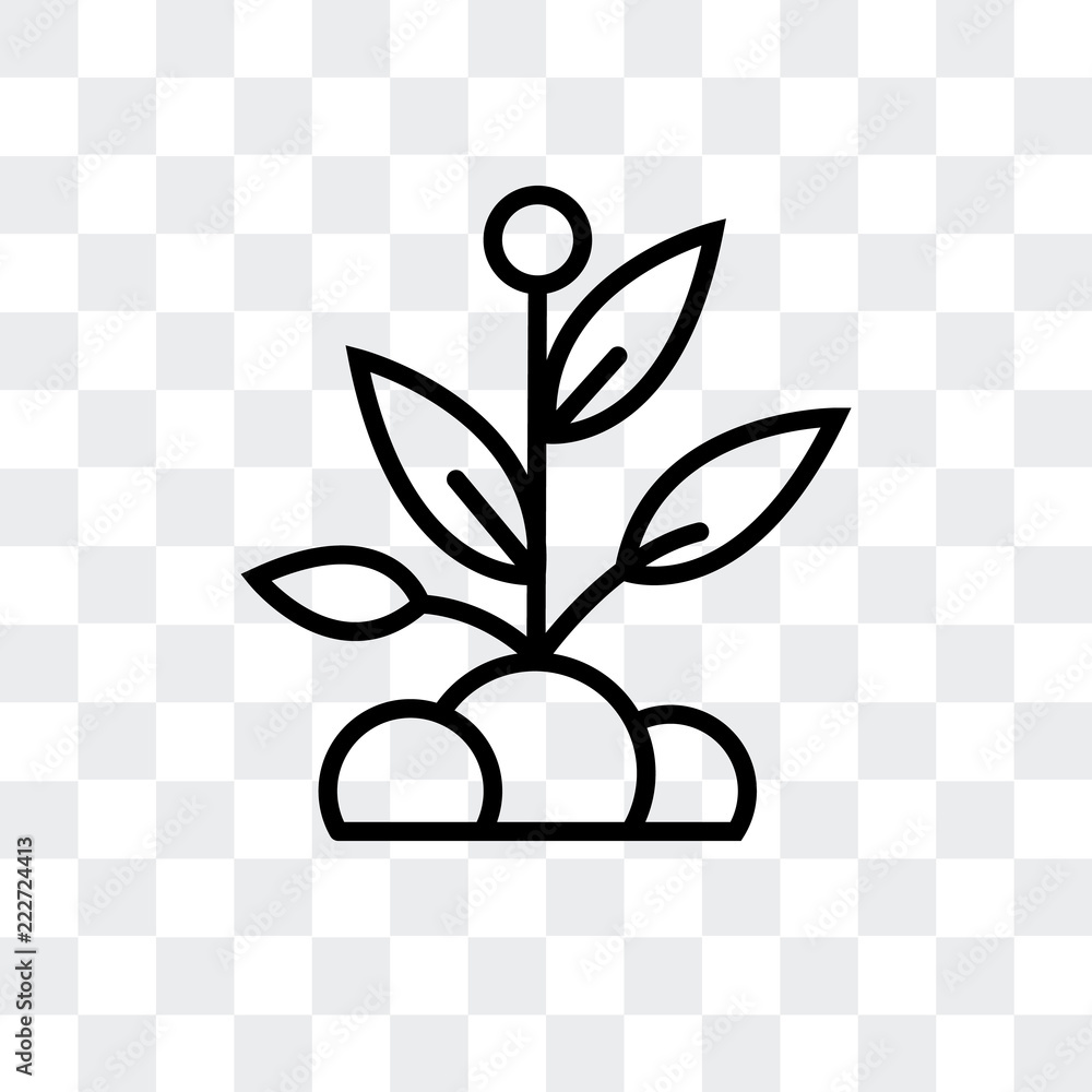 Poster sprout icon isolated on transparent background. modern and editable sprout icon. simple icons vector