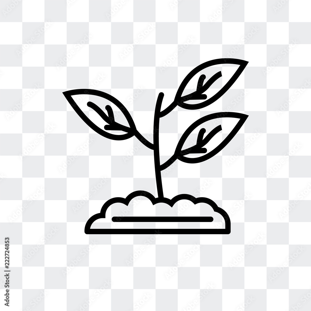 Poster sprout icon isolated on transparent background. modern and editable sprout icon. simple icons vector