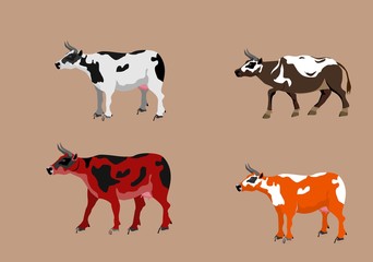Vector cows set 
