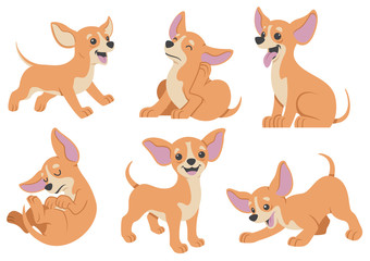 chihuahua dog cartoon set