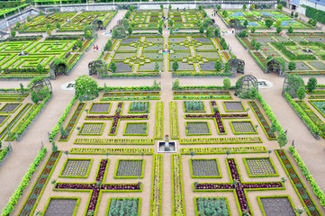 Ornamental garden at Chateau of Villandry in France