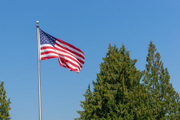 American flag blowing in the wind with evergreeen trees