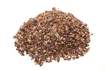 garlic isolated on white background