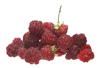 raspberry isolated on white background