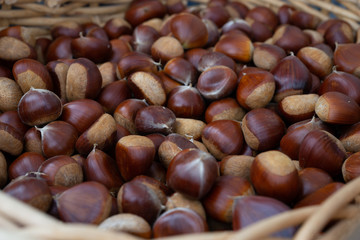 Fresh Japanese Chestnuts