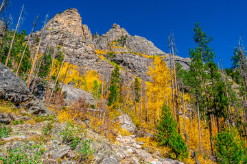 Beautiful Fall Hike in Aspens in Grand Lake, Colorado