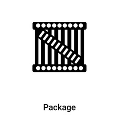Package icon vector isolated on white background, logo concept of Package sign on transparent background, black filled symbol