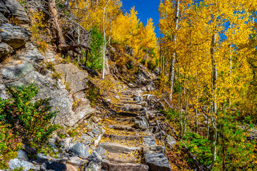 Beautiful Fall Hike in Aspens in Grand Lake, Colorado