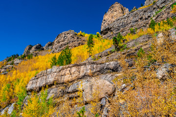 Beautiful Fall Hike in Aspens in Grand Lake, Colorado