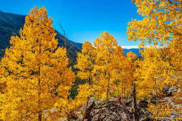 Beautiful Fall Hike in Aspens in Grand Lake, Colorado