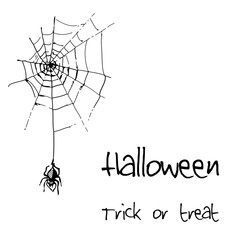 Hand drawn doodle halloween elements, spider with web. Black objects, white background. Vector doodle illustration.