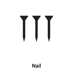 Nail icon vector isolated on white background, logo concept of Nail sign on transparent background, black filled symbol