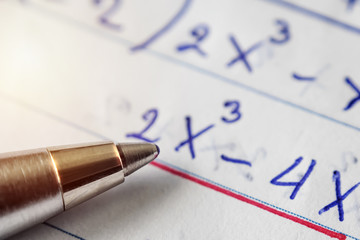 Math problem solving,Must use computational skills. The pen is placed on paper.