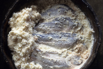 日本の伝統食品の鮒ずしの製造風景、漬けあがった樽の中の鮒ずし