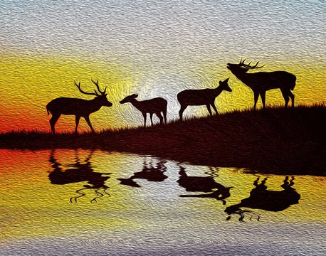 silhouette   deer on meadow during sunrise. oil painting