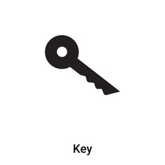 Key icon vector isolated on white background, logo concept of Key sign on transparent background, black filled symbol