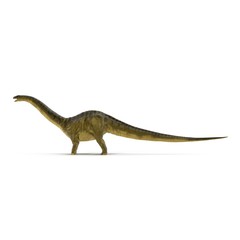 Apatosaurus Dinosaur model on white. Side view. 3D illustration