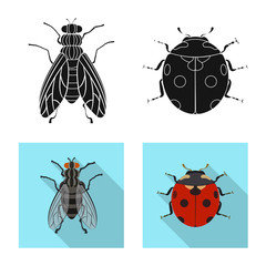 Fototapeta premium Vector design of insect and fly icon. Set of insect and element stock symbol for web.