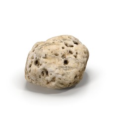 Small Sea Rock with Holes on white. 3D illustration