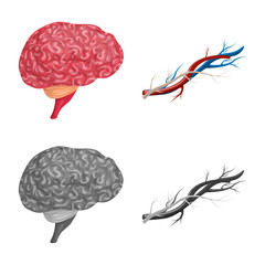 Isolated object of body and human symbol. Set of body and medical stock vector illustration.