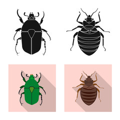 Isolated object of insect and fly icon. Set of insect and element stock symbol for web.