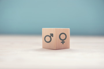 Gender equality concept, Wood cube with male equals female symbol on blue background.