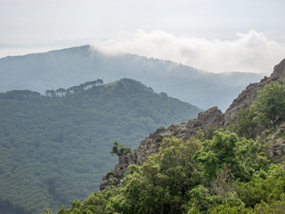 Grüne Hügel im Hinterland von Elba, Italien