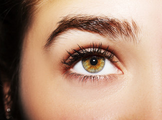 A beautiful insightful look woman's eye. Close up shot.