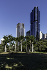 Fototapeta na wymiar The central business district of Brisbane from the Brisbane City Botanic Gardens. Queensland, Australia.