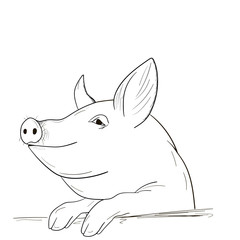 Chinese New Year Pig 2019. A pig sketch