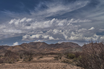 Fototapeta na wymiar Baja California desert. Mexico