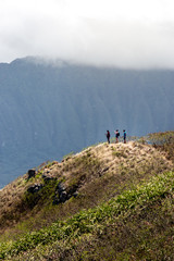 Naklejka premium Hawaii